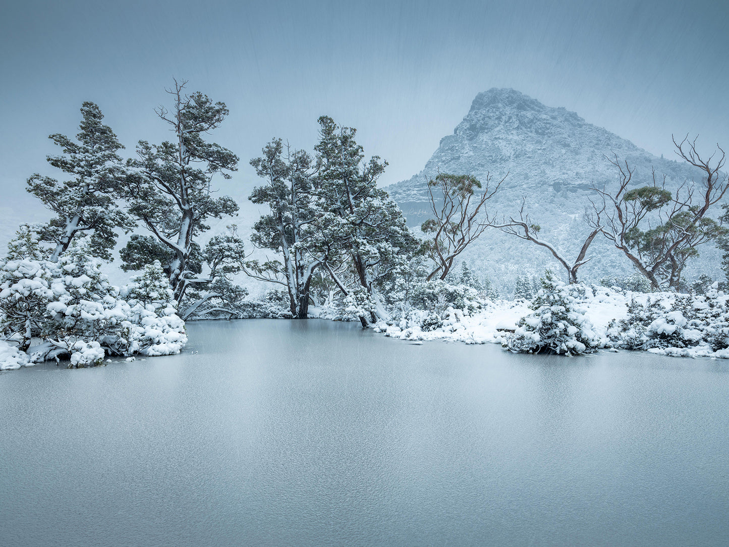 Artists Pool - Cradle Mountain