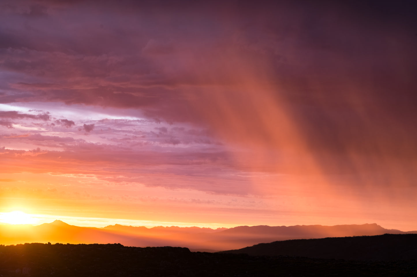 Summer Rains - kunanyi/Mount Wellington
