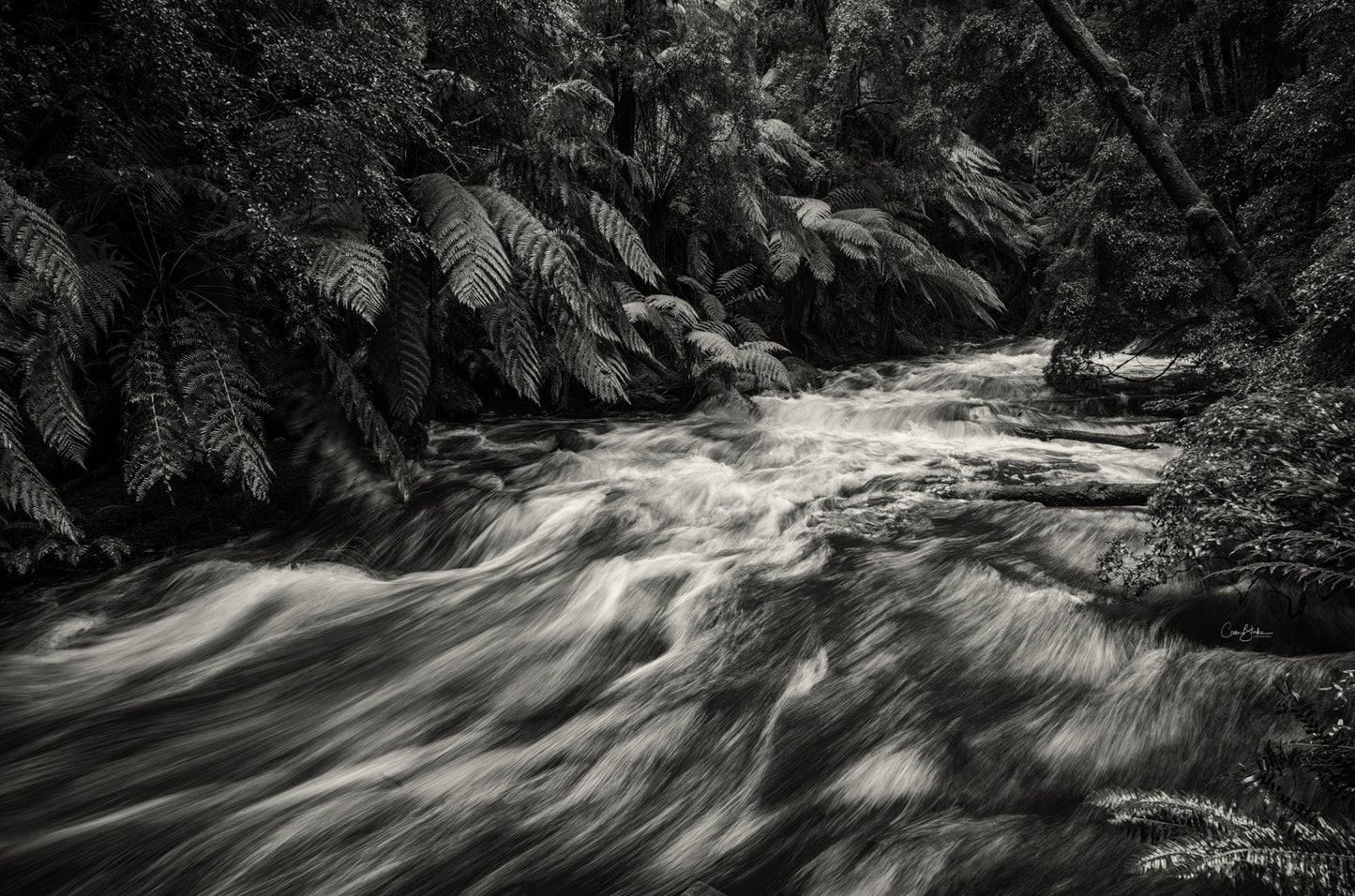 The Nelson River - Tasmania