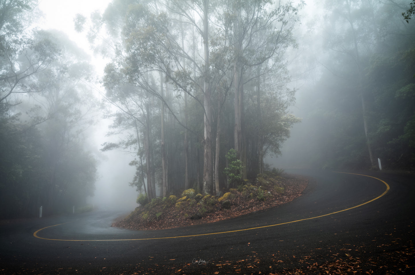 Autumn Fog Roads - kunanyi / Mount Wellington