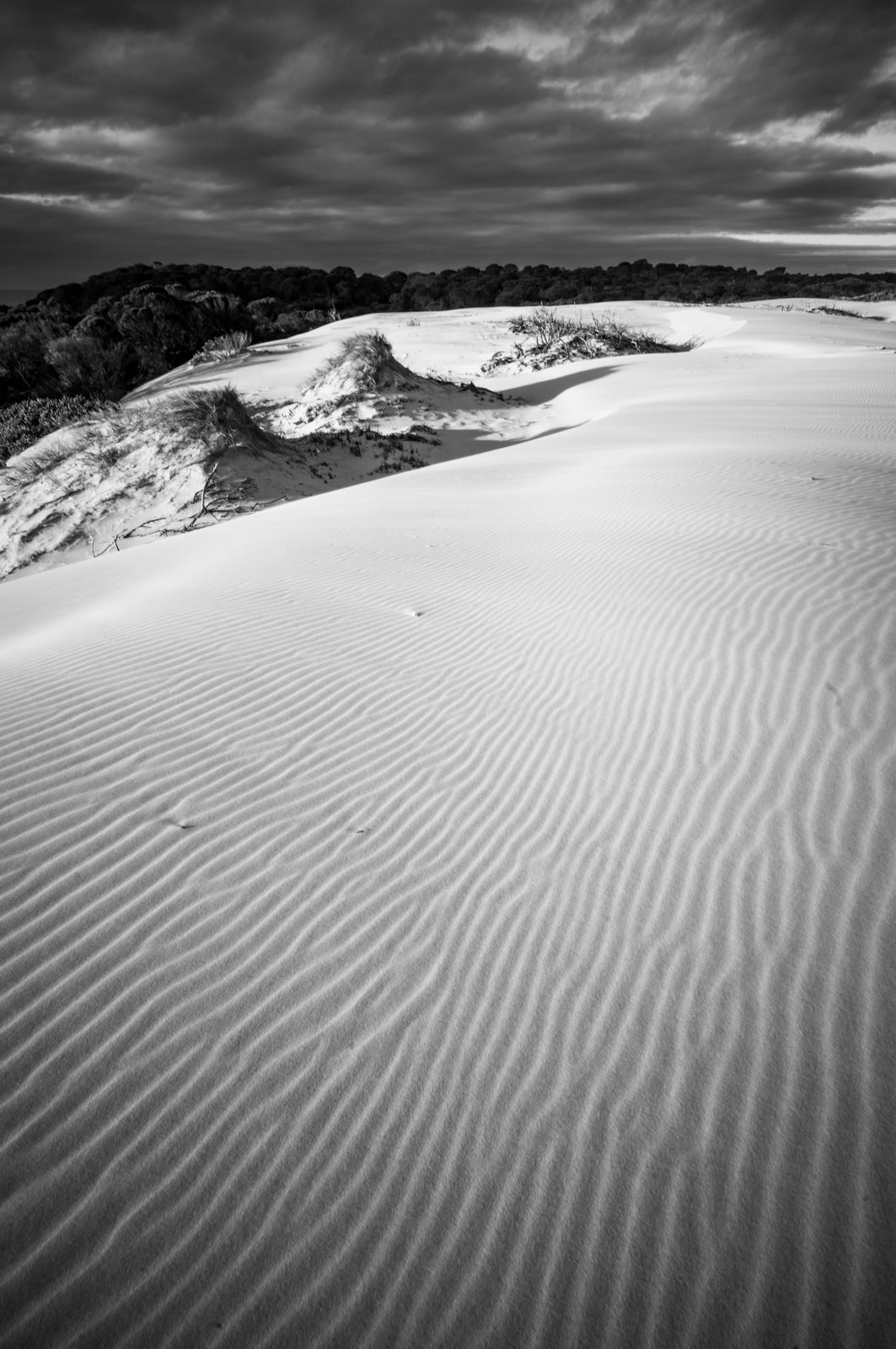 Dunes of Tasmania