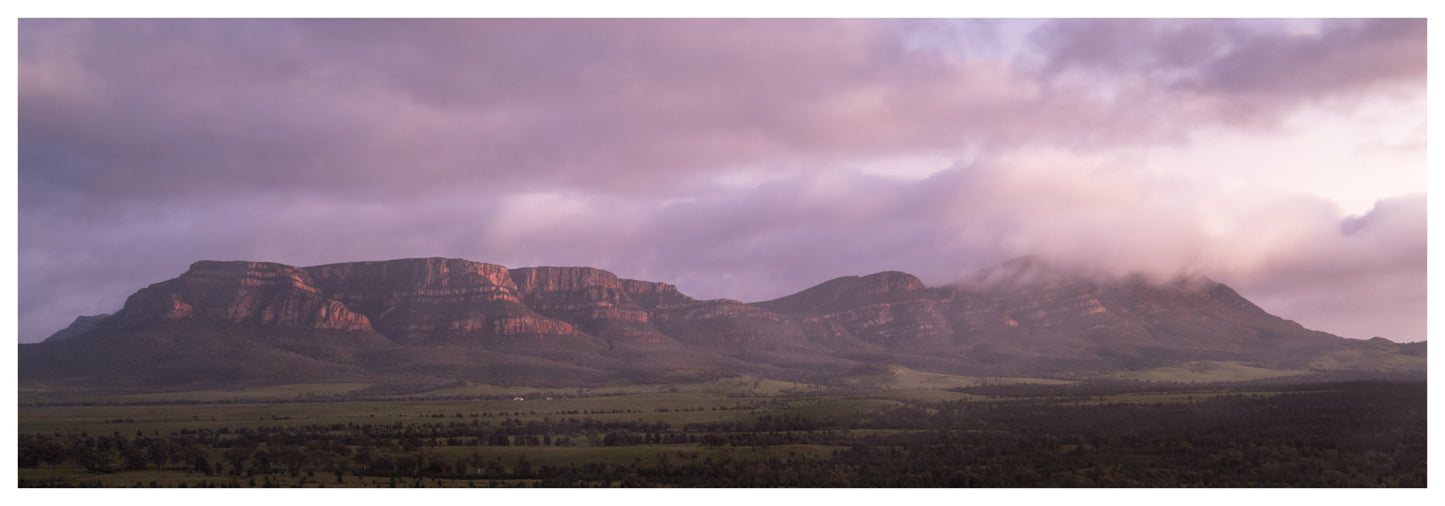 Pound at Dawn - Flinders Ranges