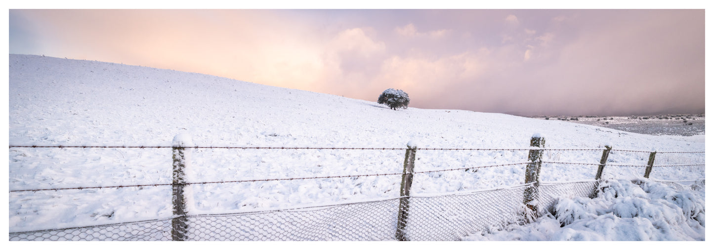 Icy Tasmania