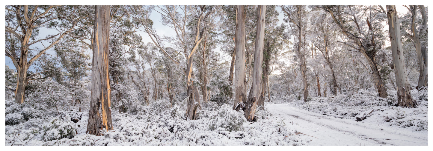 Snow Day Tasmania