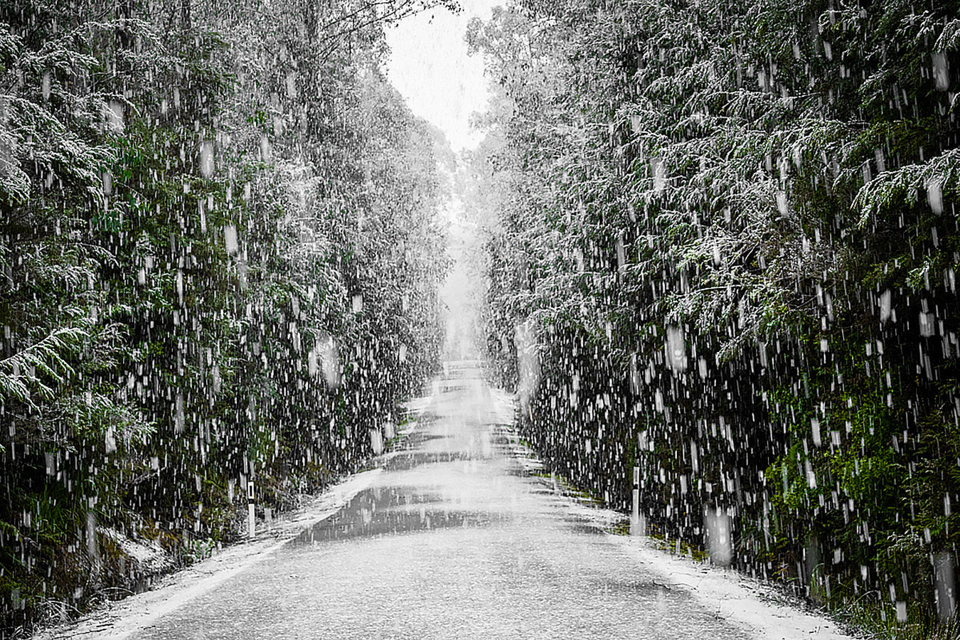 Big Flakes - Southwest Tasmania