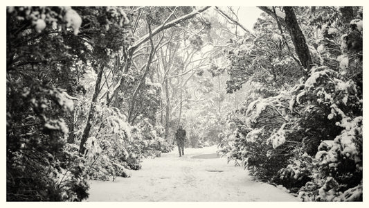 The Snow Walker - Mount Field National Park
