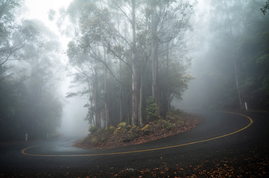 Autumn Fog Roads - kunanyi / Mount Wellington