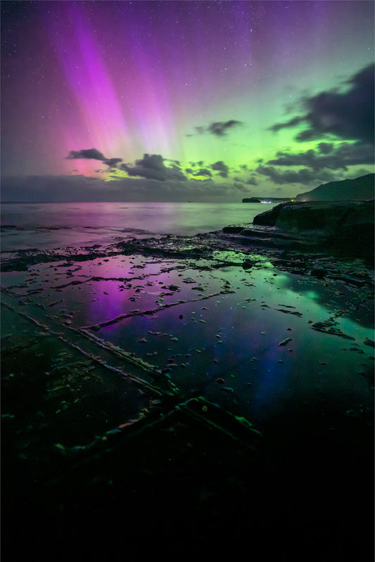 Looking Up - Tasman Peninsula