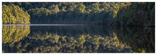 Pieman Reflections - Tarkine TAS
