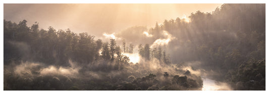 Arthur River - Tarkine TAS