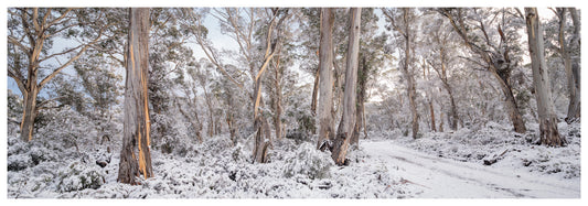 Snow Day Tasmania