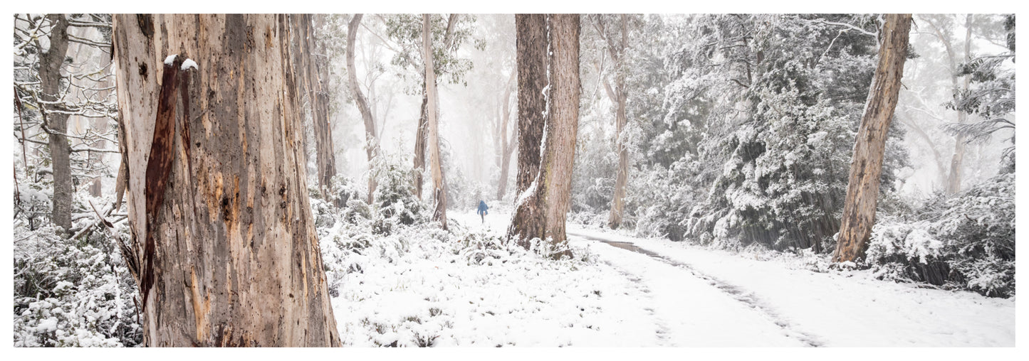 Snow Gums Road
