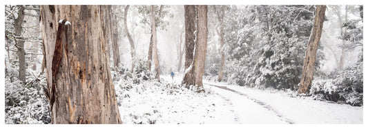 Snow Gums Road