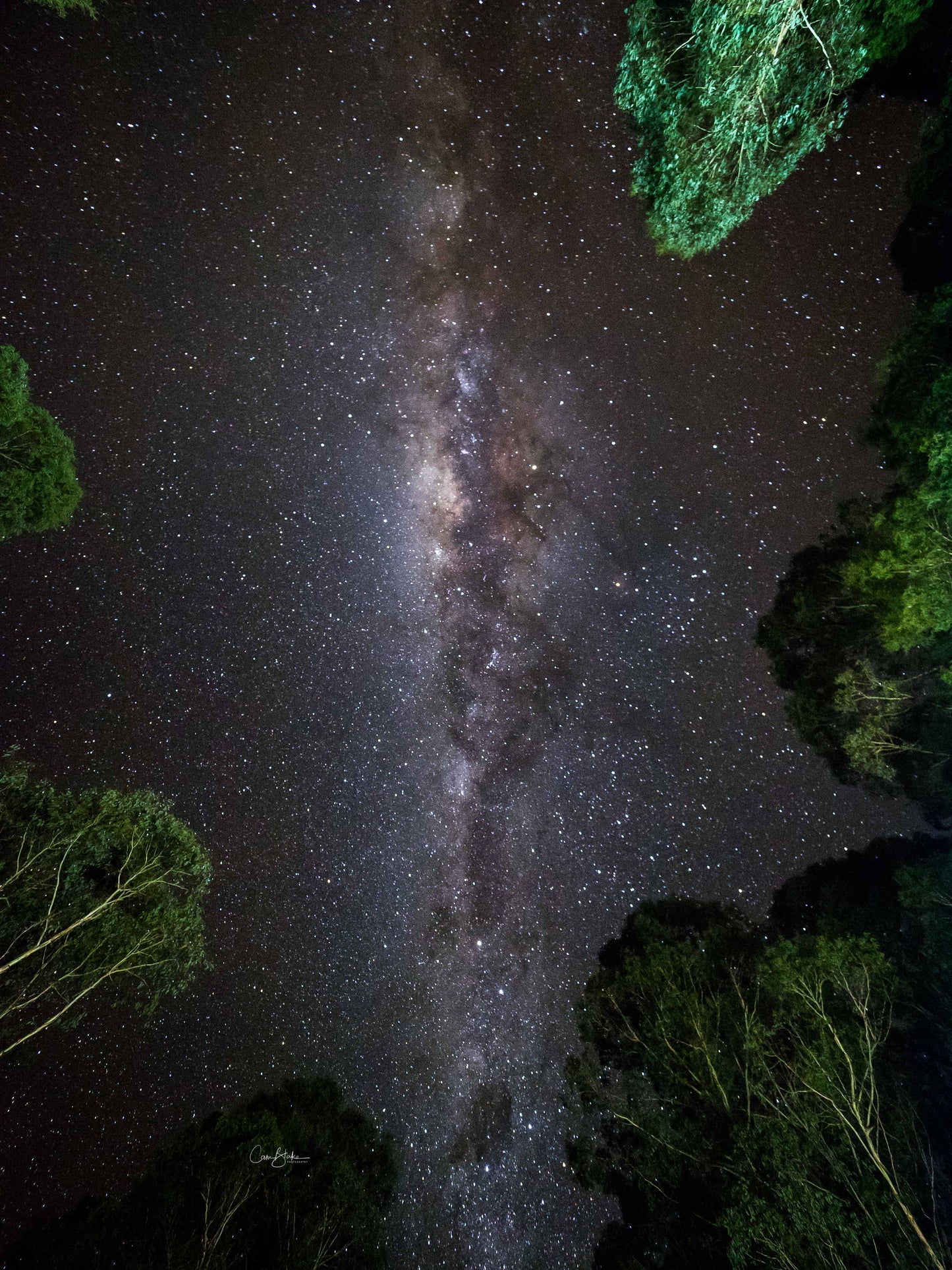 Milky Ways - Tasmania