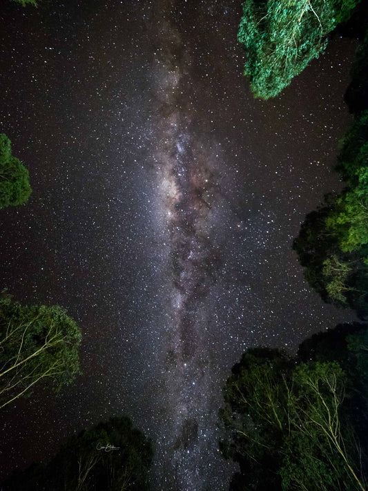 Milky Ways - Tasmania