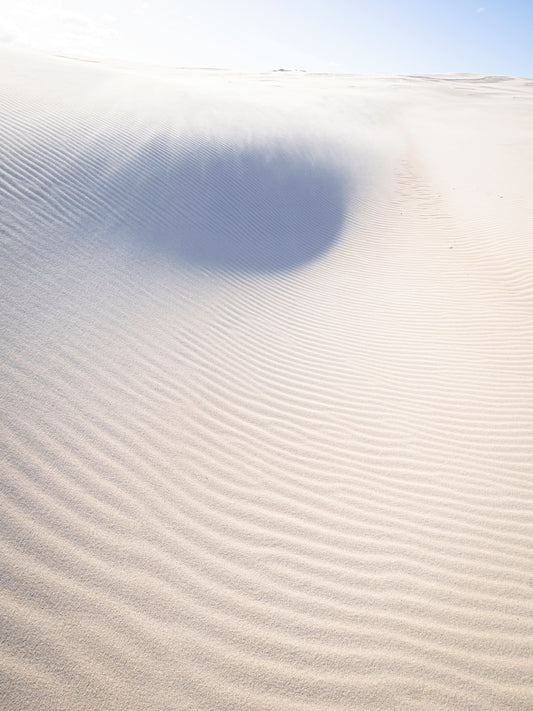 Dunes of Summer - East Coast Tasmania