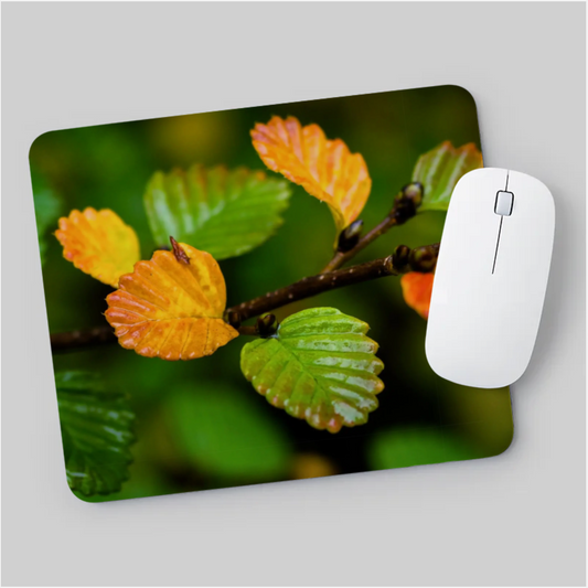 Landscape Photography Mouse Pad (Various Designs)