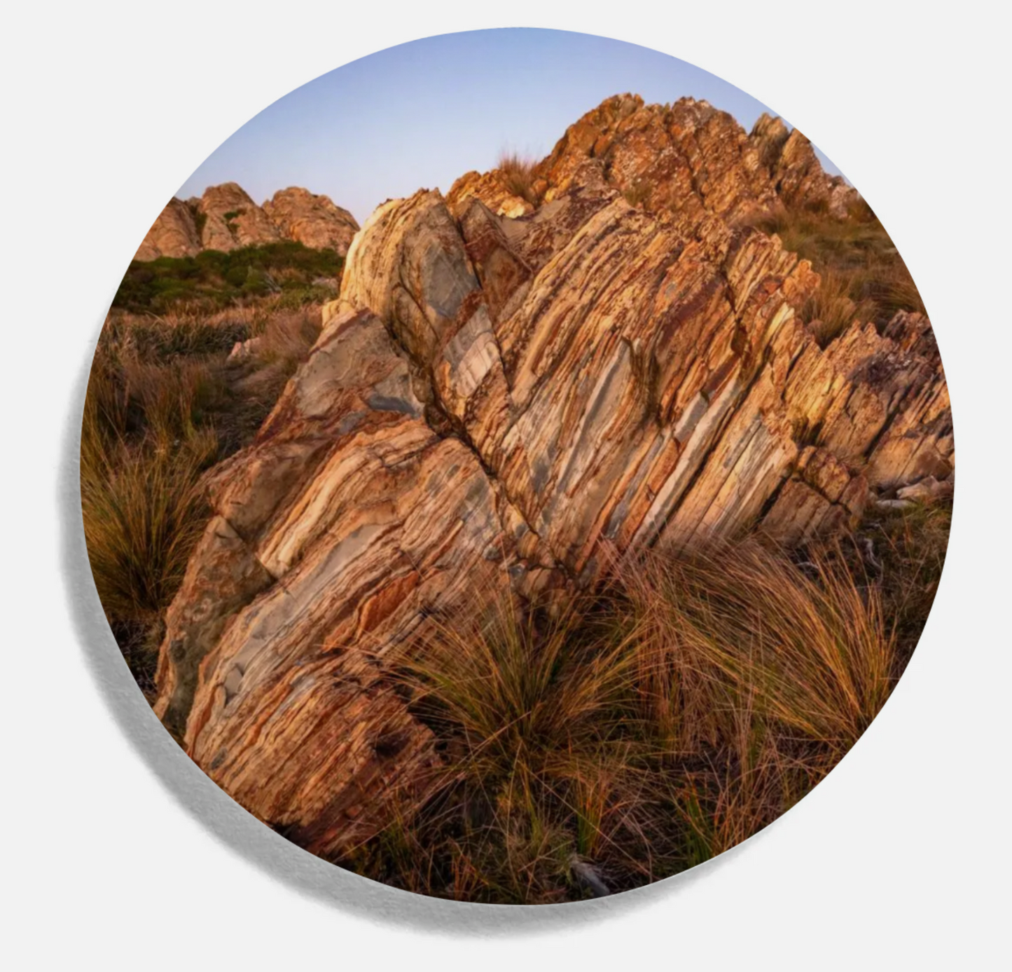 Drink Coasters (Round)