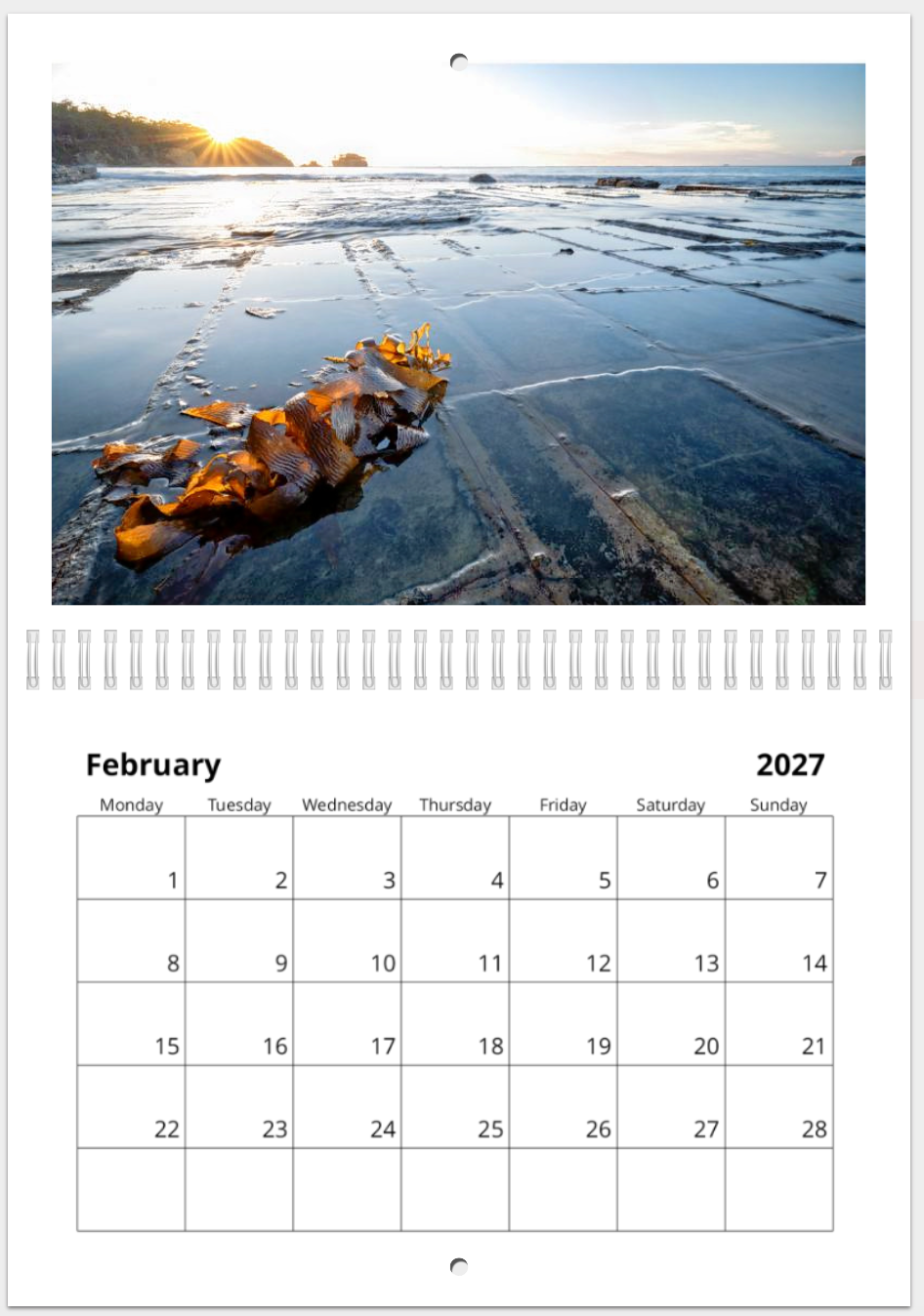 The Wild Island - 2027 Calander