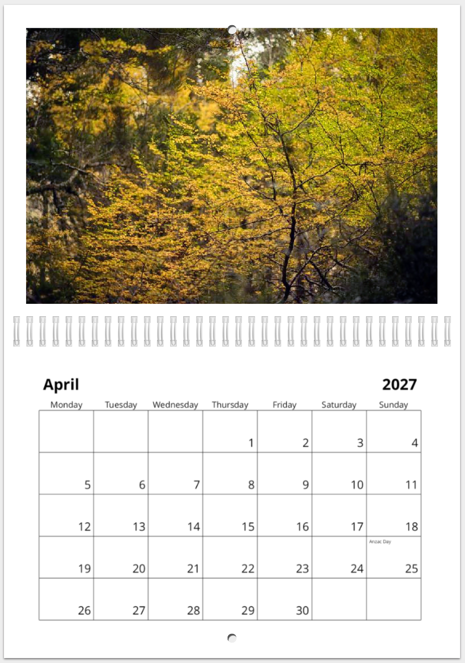 The Wild Island - 2027 Calander