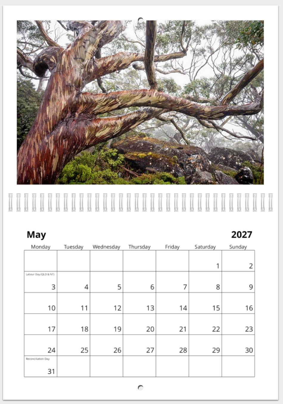 The Wild Island - 2027 Calander