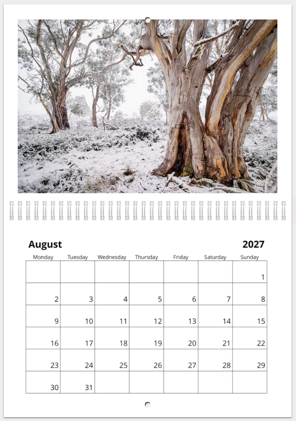 The Wild Island - 2027 Calander