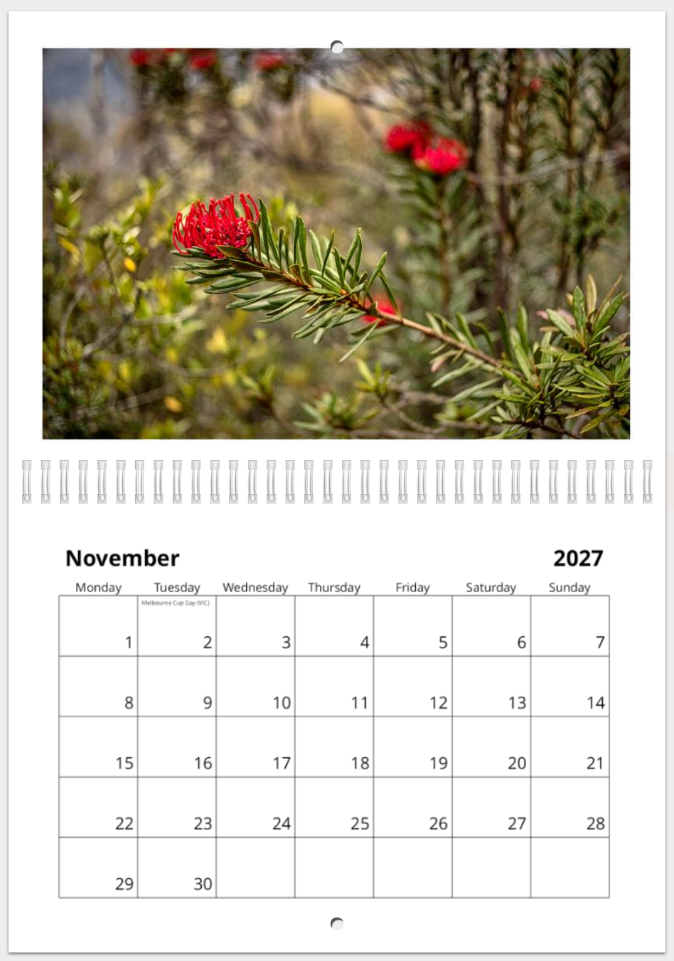 The Wild Island - 2027 Calander