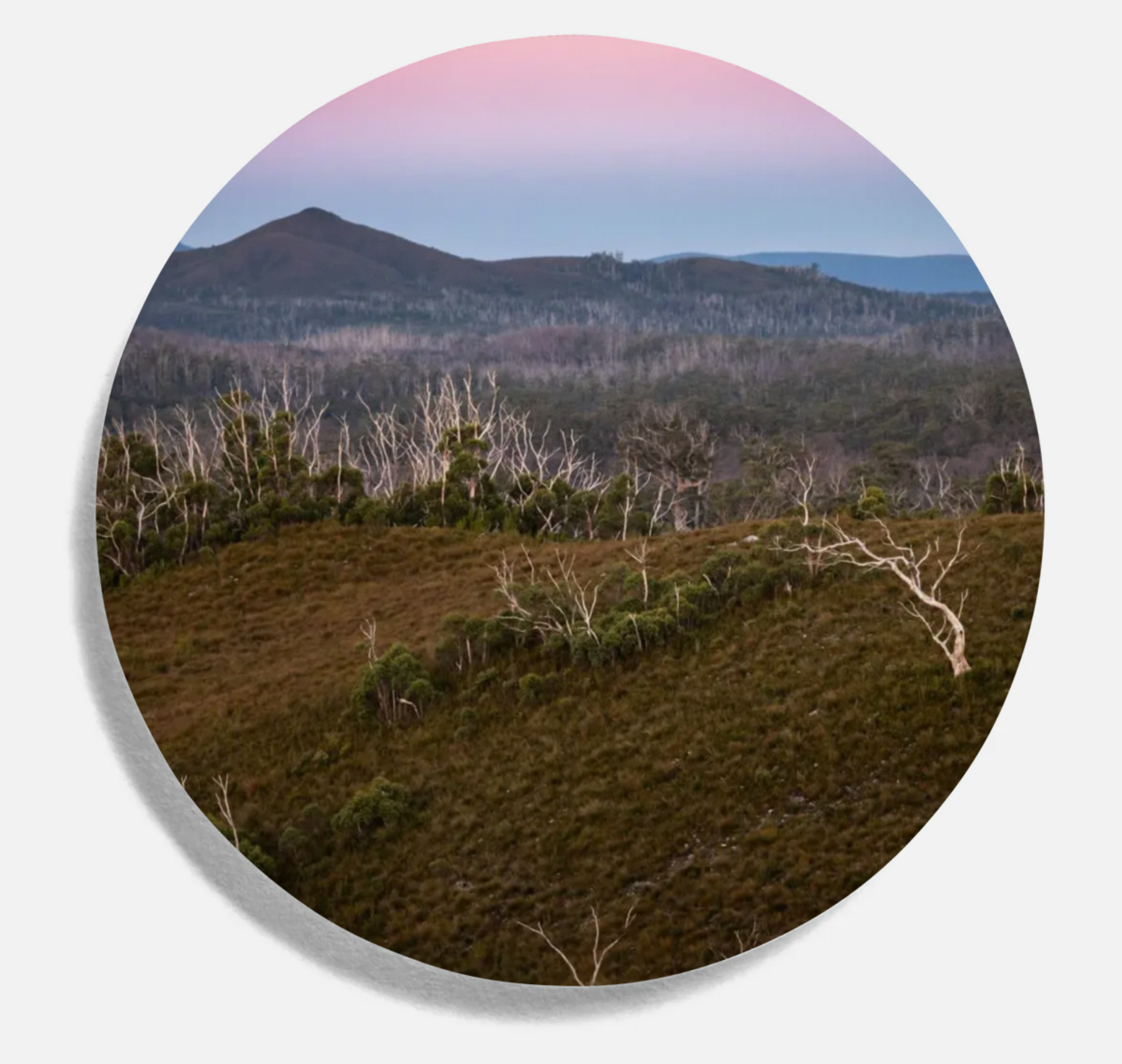 Drink Coasters (Round)