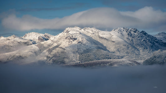 Pure - Southwest Tasmania